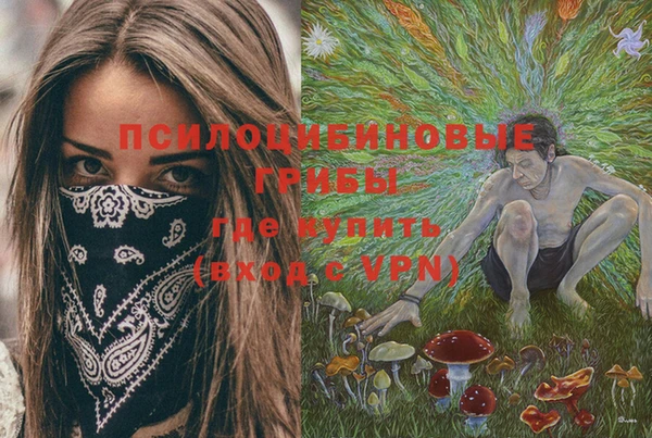 тгк Белая Холуница
