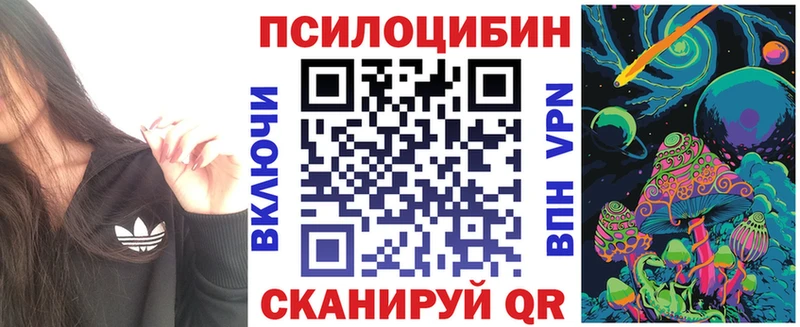 Галлюциногенные грибы мицелий  закладки  Кизел 